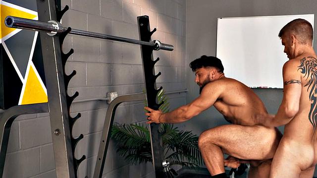 Muscled jock passionately assfuck handsome gym partner