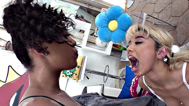 Zerella Gias Anal Connection