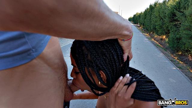 Anal In All Languages