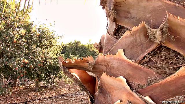 Female Body Inspector