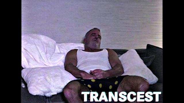 THE HUDSON FAMILY Tape 1 - Caught in Act