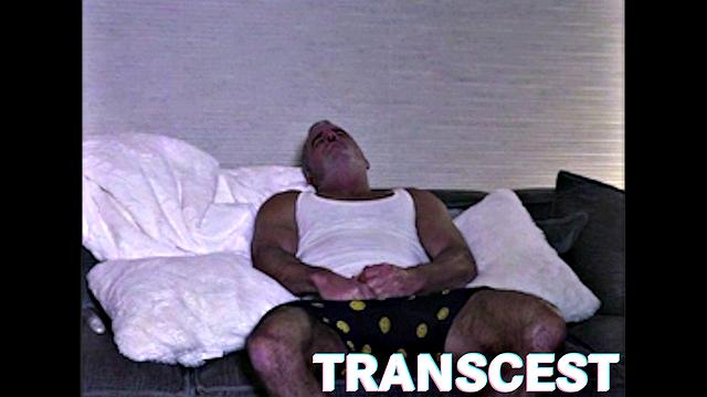 THE HUDSON FAMILY Tape 1 - Caught in Act