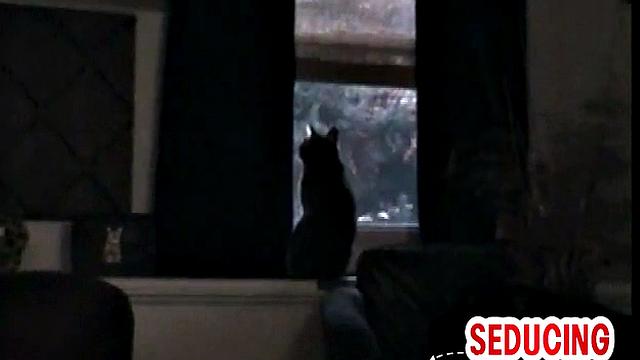 Skinny cocksucked by naughty gay