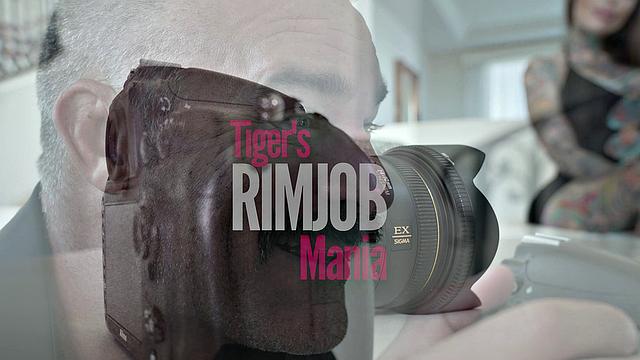 GIRLSRIMMING - Tiger's Rimjob Craze