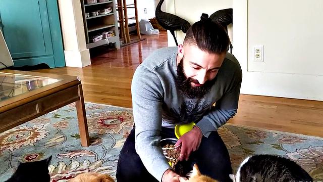 Barded hunky bottom sucks bear's shaft before barebacked