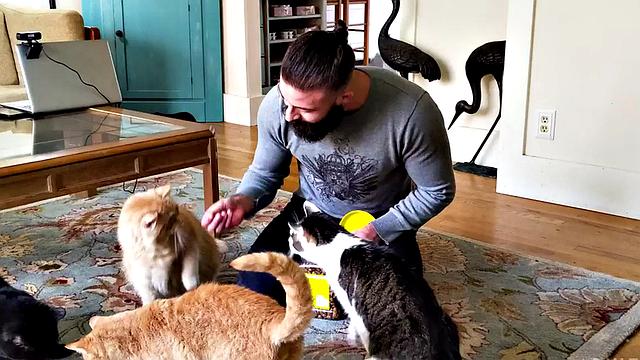 Barded hunky bottom sucks bear's shaft before barebacked