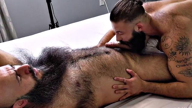 Barded hunky bottom sucks bear's shaft before barebacked