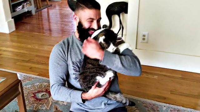 бородатый качок сосет у мохнатого и получает жестко без резинки