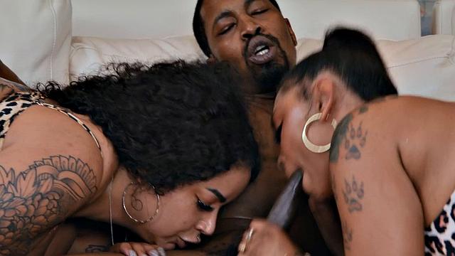 WAM babes gushing during IR trio