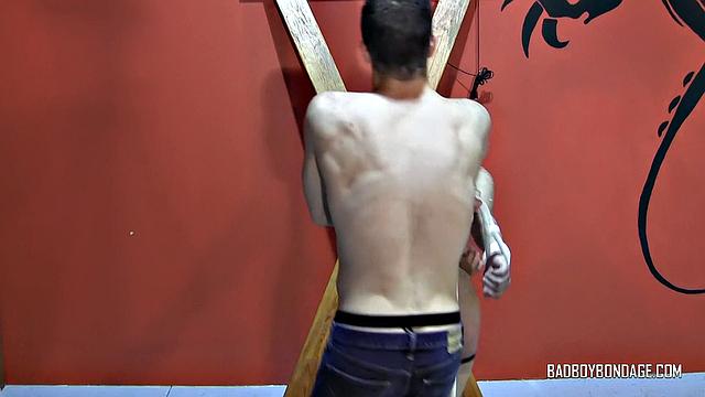 Тай и Уиски - Часть 5 - Тай и Уиски