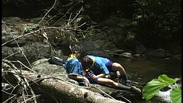 смотри, как двое парней жарко трахаются у ручья