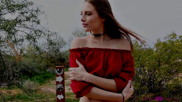 Desert Fox - S18:E10