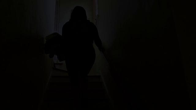 Amaya May & The Thief