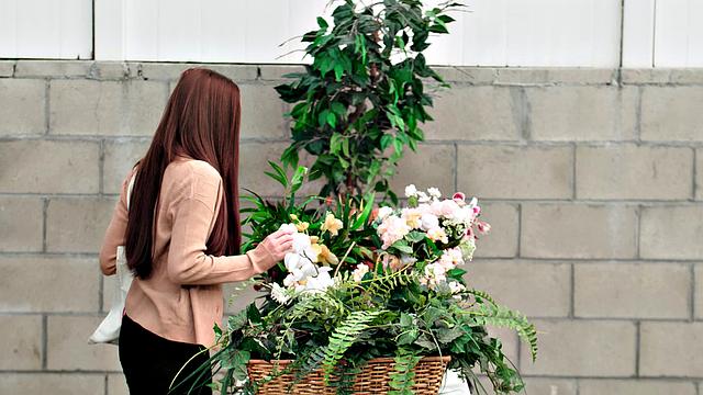 Wicked - Vanna Bardot Blindfolded To Ride Dick