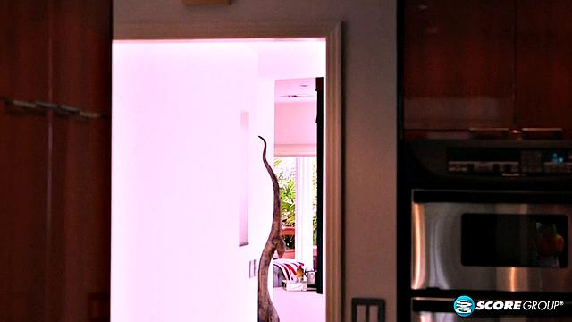 Big-titted Krissy makes a cuckold of hubby