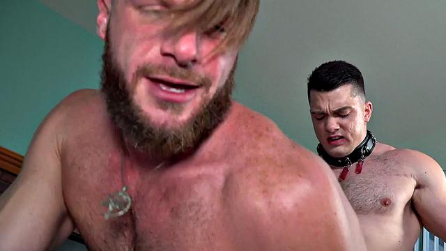 Mesmerized muscled stud with collar barebacks bottom