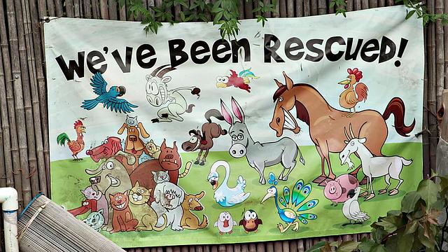 Hot MILF Corey Chase Gangbanged By BBC Ex-Convicts