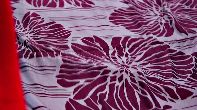 Cami's Fantasies Come True