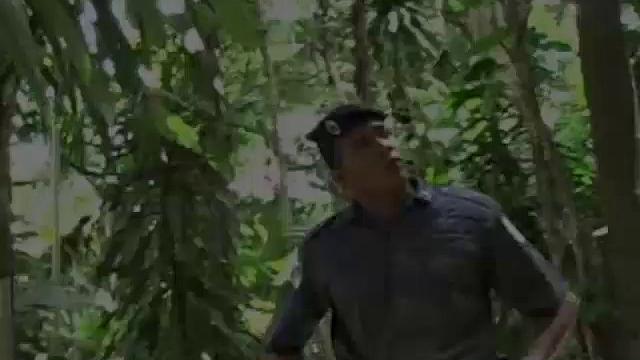 Antonio Bello and Samuel Jacques are enjoying their suck session. Antonio then fucks Samuel and sprays him with warm Latin cum.