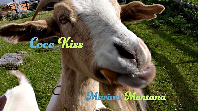 Naughty Sauna Fun With Viewers