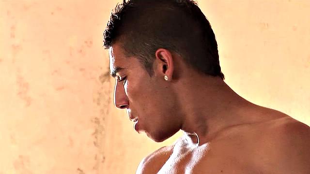 Gypsy Prince and Milosh Tas