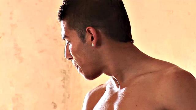 Gypsy Prince and Milosh Tas