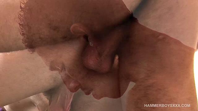 Gypsy Prince and Milosh Tas