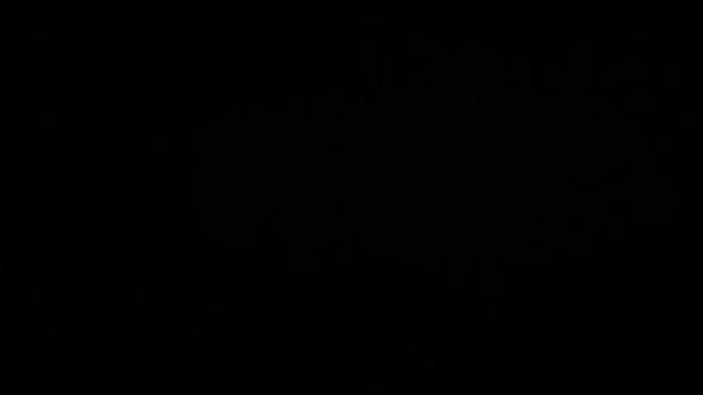 Baileys Needs Gaping