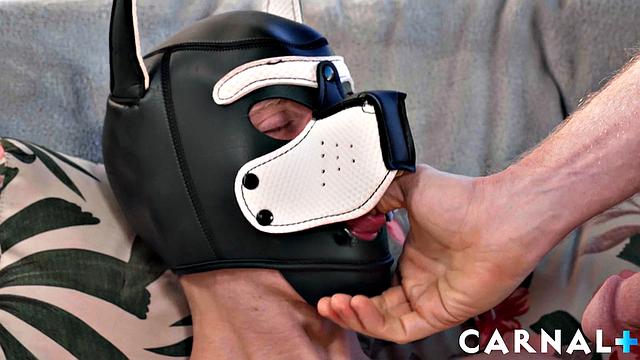 Training the Alpha Pup Play Vol. 2