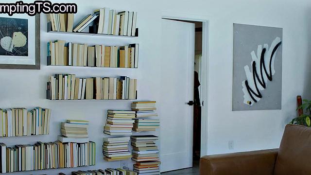 Cockhungry Tranny assfucked by handyman