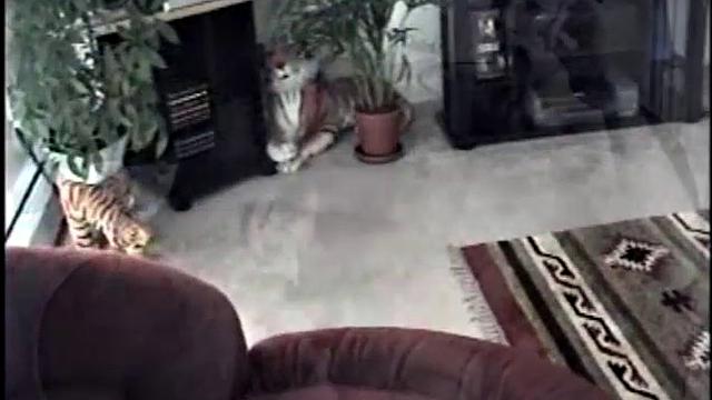 Энрике балдеет, когда ему дрочат до кончи прямо на кровати