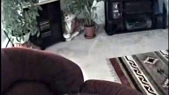 Can't Get Enough of Enrique