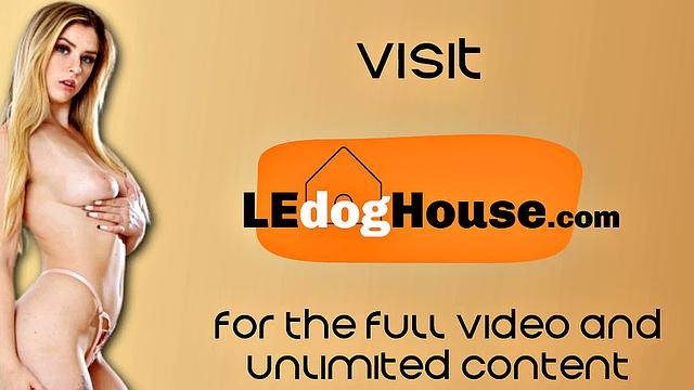 жадная до члена черная красотка скачет после жёсткого куннилингуса