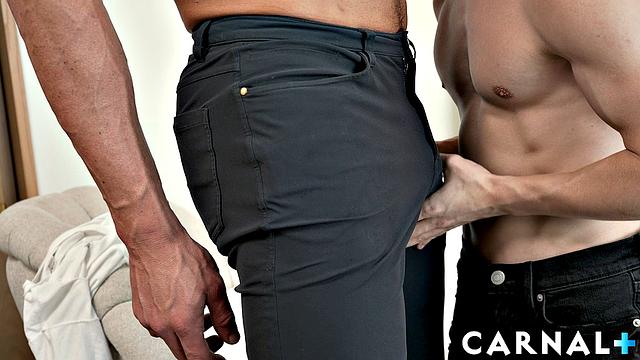 Apartment Hunting with KAI REYNOLDS Vol. 1