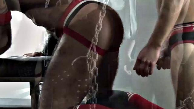 Pig Week Gorilla Sex Orgy 5