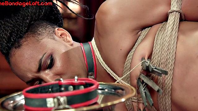 Suspended black sub ravaged by male