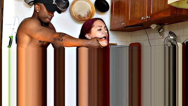 Kitchen Encounters: Santana's Apron