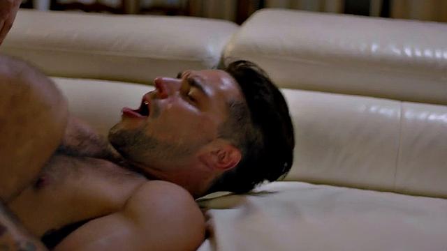 Transsexual beauty enjoys fucking in ass doggystyle