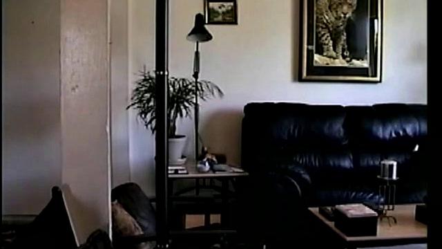 Boston's First Visit