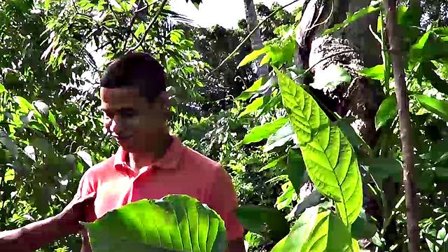 Latin boys Joaquin and Antonio sneak into the woods for private time. Once they feel secluded, the two start stripping each otger's clothes off and Joaquin goes down on his friend.