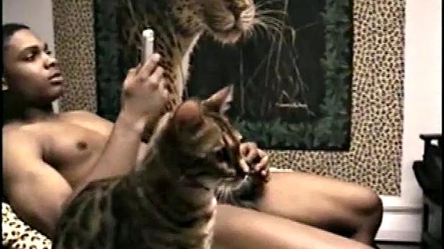 Straight Jedi Gets Licked