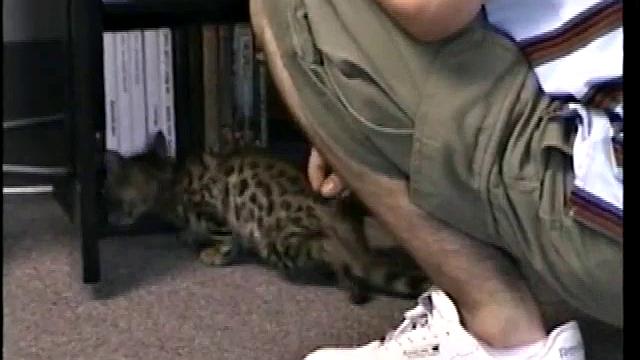 Blowing Hairy Paulie