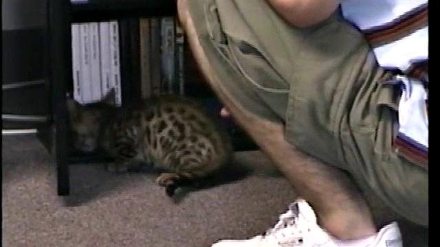 Blowing Hairy Paulie