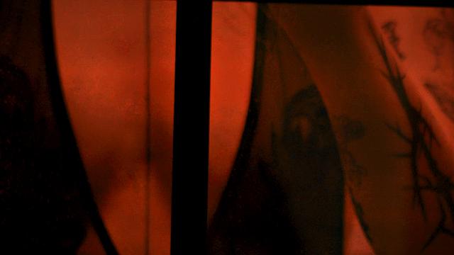 Praying Mantis Vol 1 E2