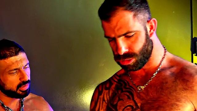 Desperate For Daddy Nut! - Best Of Compilation 0005