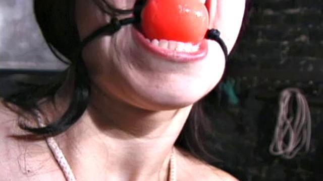 Extreme Tit Torment XIII