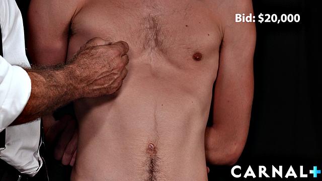 The Auction THE BOY JAMES Vol. 1