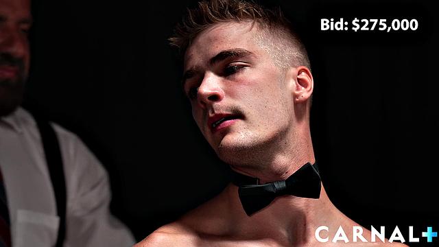 The Auction THE BOY JAMES Vol. 1