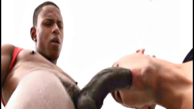 Anibal Ribeiro and Pascoal Coelho