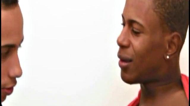 Anibal Ribeiro and Pascoal Coelho